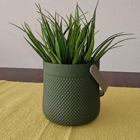 Center Apartment Delfina Ochryda Zewnętrze zdjęcie